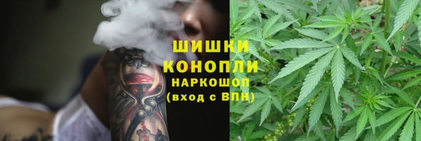 а пвп мука Абаза